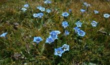 离开是一种美丽的痛_3000字