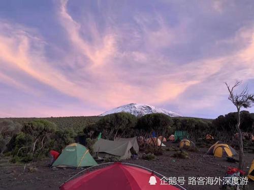 罗峰_3000字
