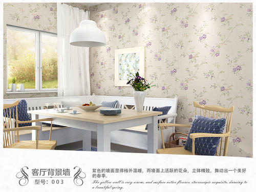 温暖的家_450字