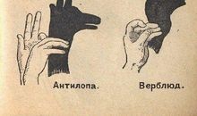 有趣的手影_300字