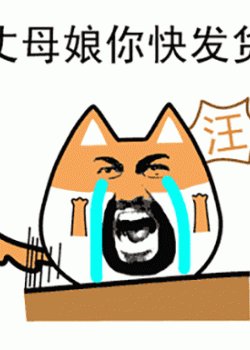 小狐狸看到球，快速捡起它，把它放回自己的盒子里。球想要：“我终于找到了家，不需要问你！”