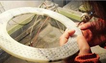 小虎成长记（续十二）识破诡计揭穿真相_350字