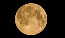 元宵节好段好句：赏圆月，闹元宵_900字