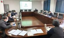 元宵节好段好句：东方巨龙_800字