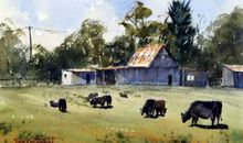 捕捉生活的瞬间_550字