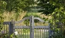 美丽的小院_300字