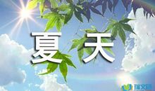 我是雨_500字