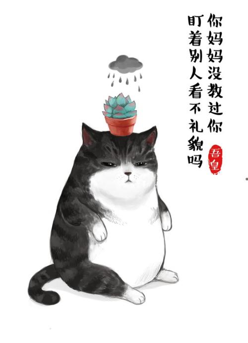 猫梦_200字