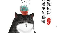 猫的梦_200字