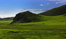 内蒙的大草原_450字