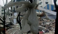 震后的都江堰_350字