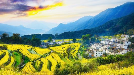 播种一点，收获一点_1200字
