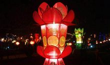 元宵观花灯_650字