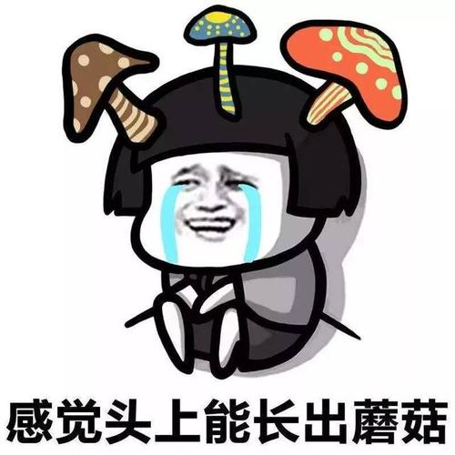 谁在哭？ _400字