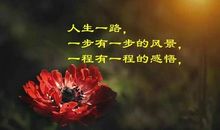 一份美丽，永存于心_1000字