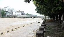 第一次看到水灾_500字