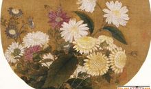 爱中国菊的叔公_450字