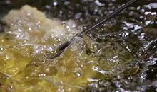 记忆里的外婆_550字