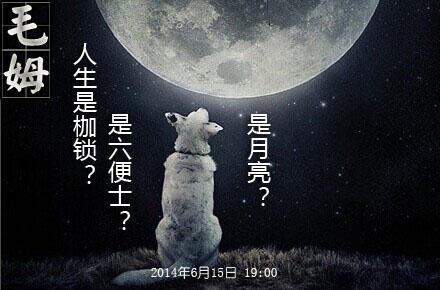 灯下的白人_1200字