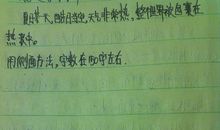 练笔_1200字