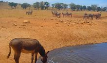 神界奇闻（二）_500字