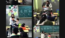 小狐狸明明交朋友(上)_1200字