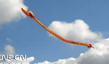 腾飞吧，巨龙_1200字