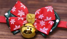 生命的铃铛_1000字