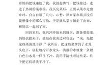 第一次做菜_250字