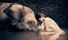 他是这样的人（郝知涵）_400字