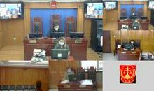 校园的植物（陈旭峥）_450字