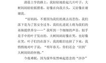 落叶——赞美老师的作文