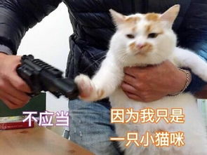 太阳在地球上懒惰，充满了绿色。绿草，五颜六色的小花朵点缀，就像山上的美丽蕾丝。高大的树木非常站立，覆盖着天空，只通过叶子，挡住了光影。小鸟累了，他们被戏弄了。一路流动的清晰流动，并进入了遥远的约会。在远处，一个移动的云漂浮在青山的顶部，播放脸部，阻挡视线。