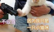 我只是一只藤_3000字