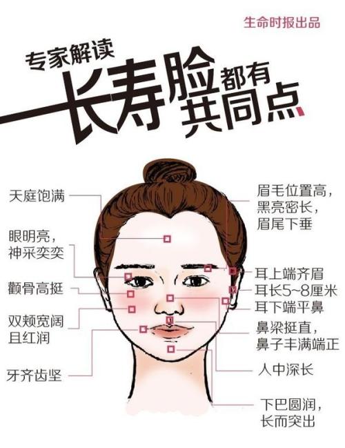鼻子在哪里？