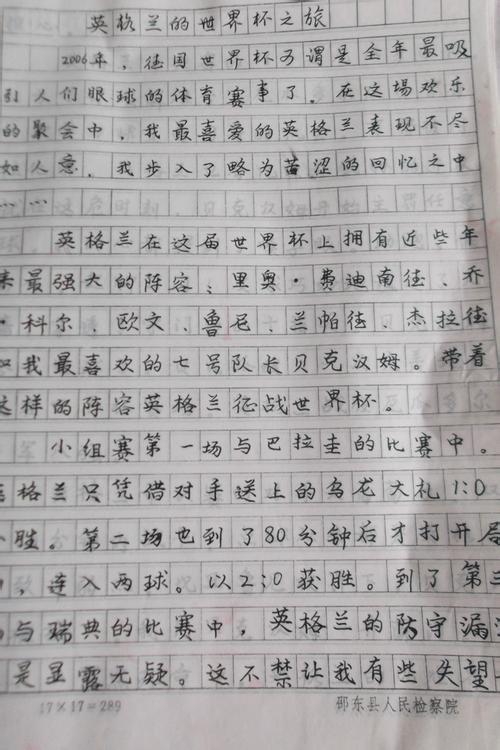 我的作文老师_900字