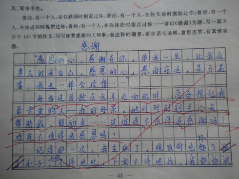 我的两个姐妹_400字
