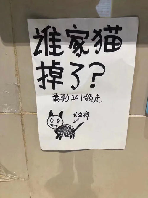冷战_700字