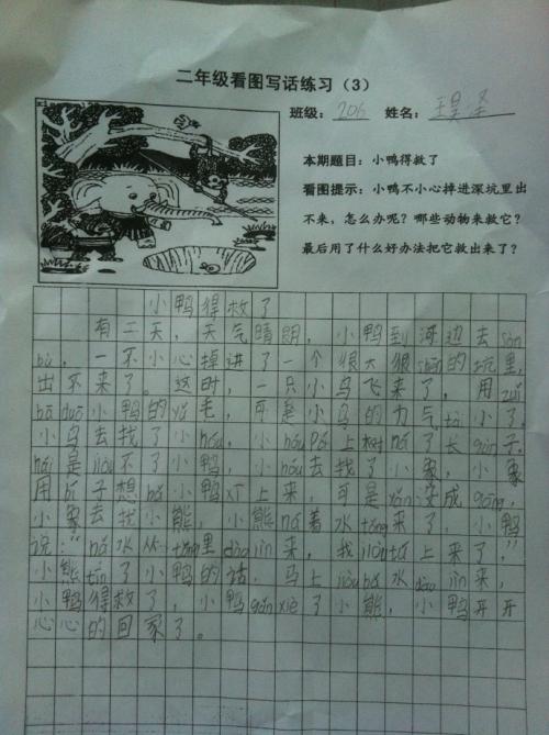 鸭子已经保存了_250字