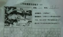 小鸭得救了_250字