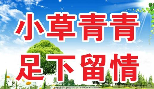 爱树_350字