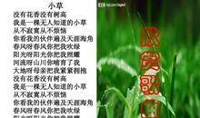 关于小草的作文：感悟小草（二）_550字