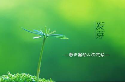 用草的组成：我是一个小草_450字