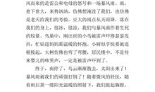 关于小草的作文：感悟小草（四）_500字