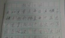 错题型数学日记_250字