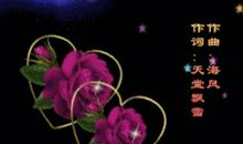 今天是我的生日_350字