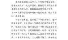 初中的滋味_1200字