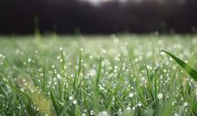 生命的春天_800字