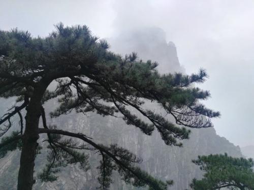 庐山日游_600字