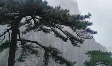 庐山一日游_600字